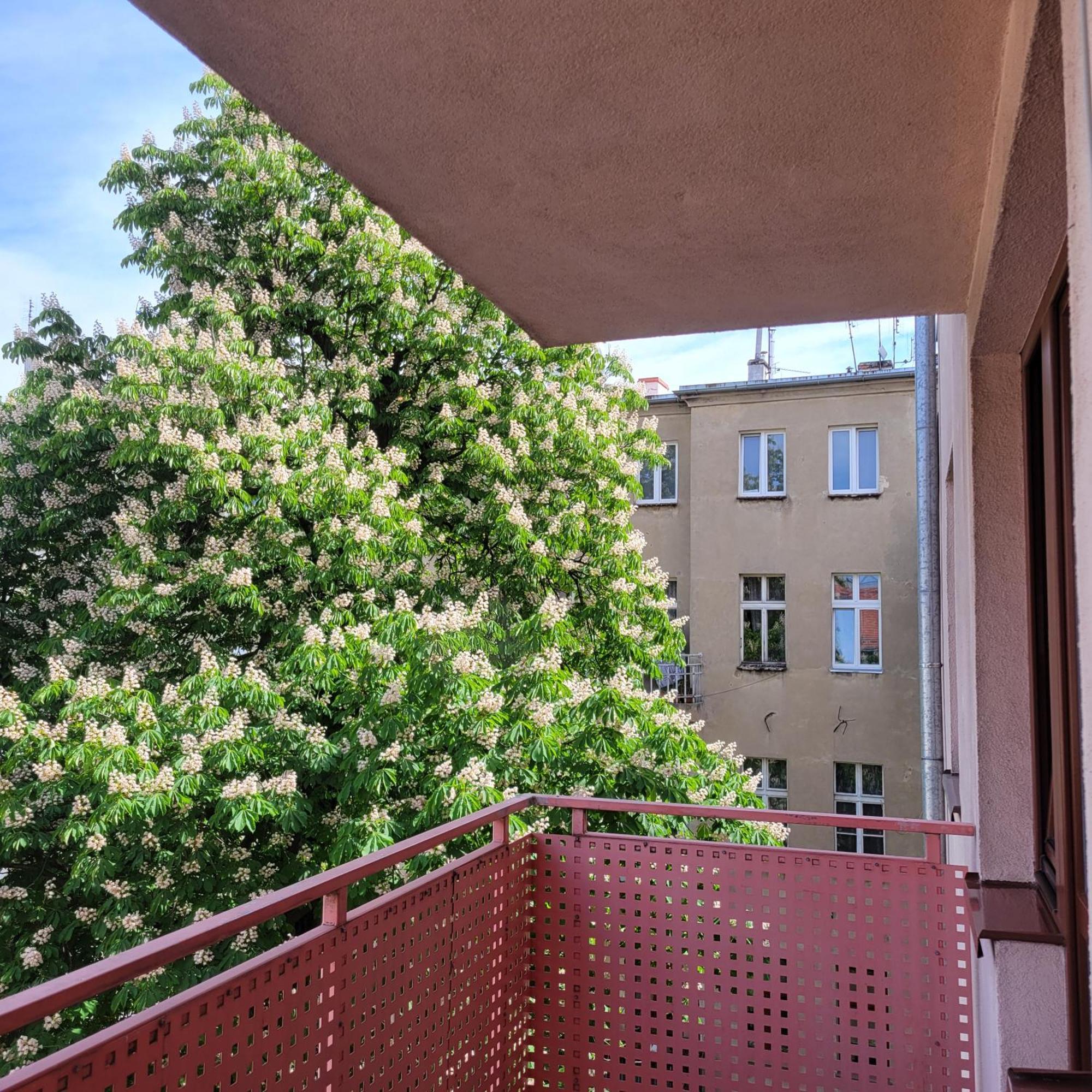 Cozy Apartment Wrocław Kültér fotó